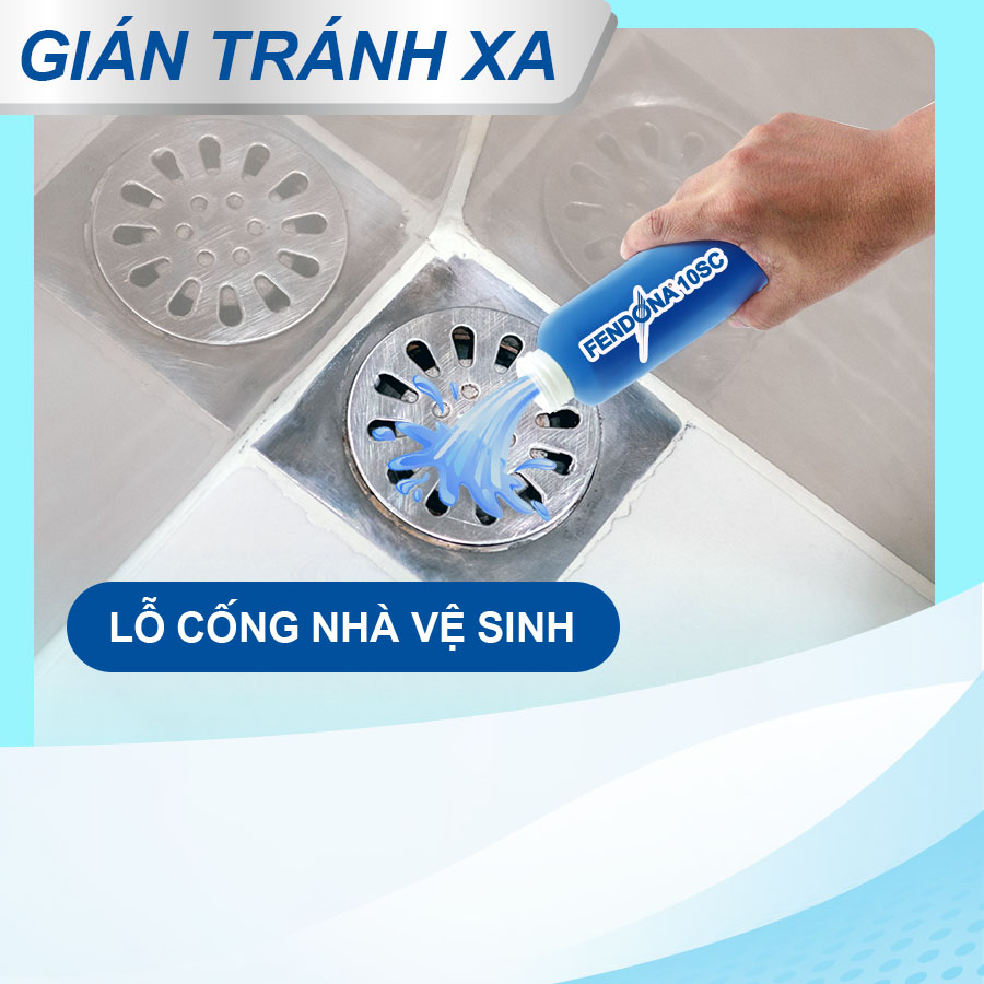 Diệt gián - Fendona đổ dung dịch vào cống